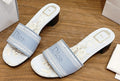 Dior Women's Light Blue Embroidered Slide Sandals